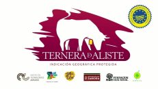 TERNERA Y VACUNO